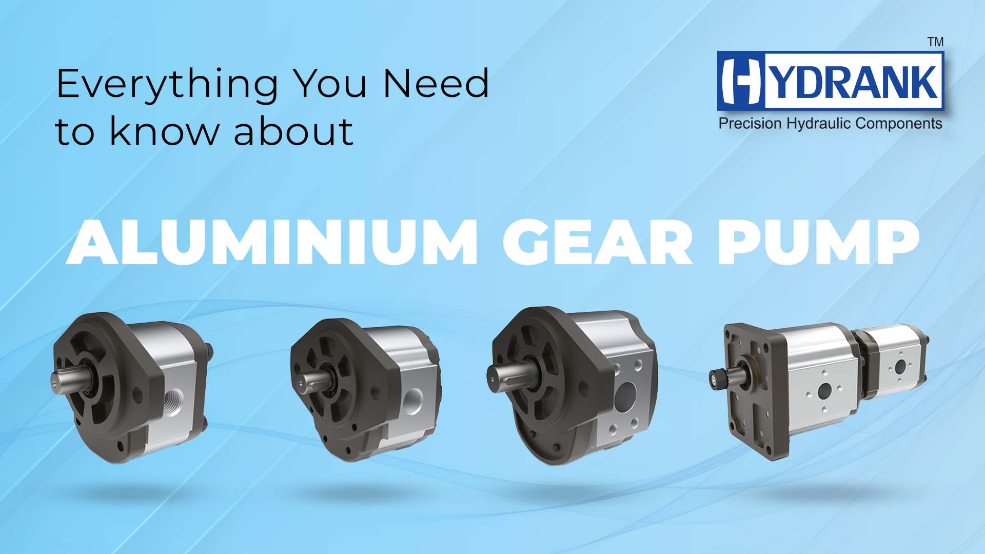 Everything You Need to Know About Aluminium Gear Pump – Shri Ank Enterprise